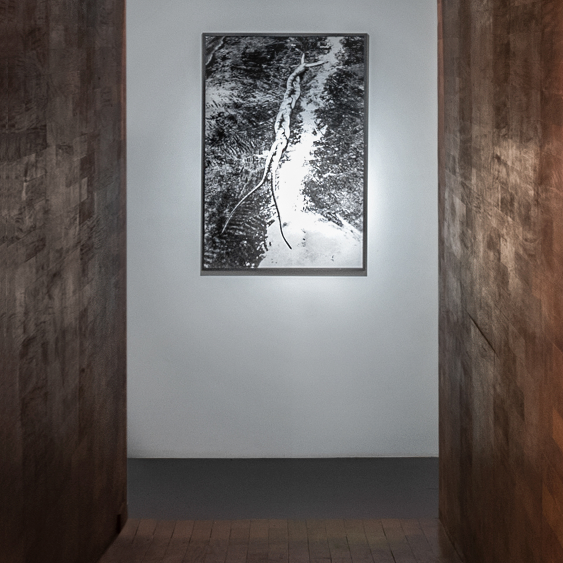 Obra Vanguarda Viperina, 1985, Tunga. Acervo de arte contemporânea Inhotim