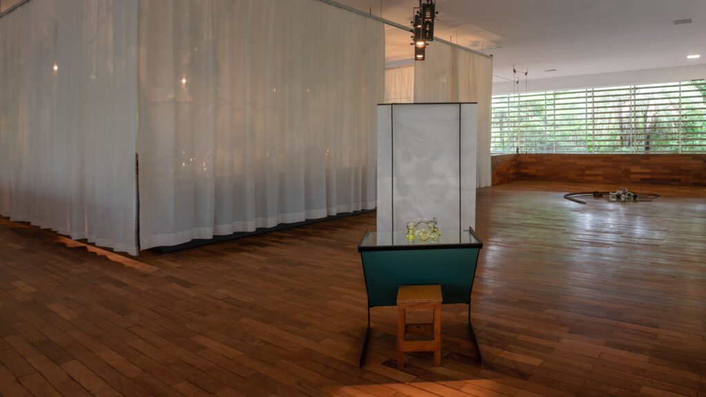 Obra Laboratório Nociferatu, 1999-2012, de Tunga. Acervo de arte contemporânea Inhotim