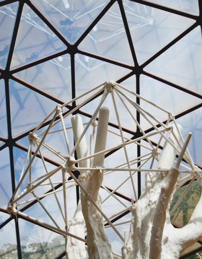 Matthew Barney, De lama lâmina, 2009,[detalhe],  domos geodésicos em aço e vidro, trator florestal, escultura em polietileno, 8x14x55 m. Foto: William Gomes