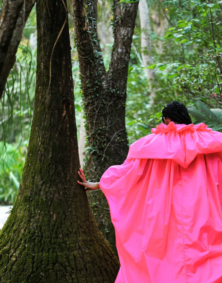 inhotim programacao em cena xenia franca pata de leao