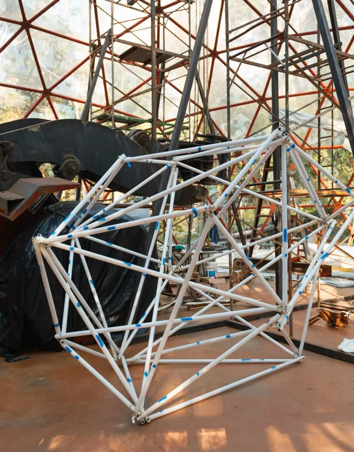 Which elements connect the Carnival of Salvador, performances, a tractor, and an art gallery? Watch now!