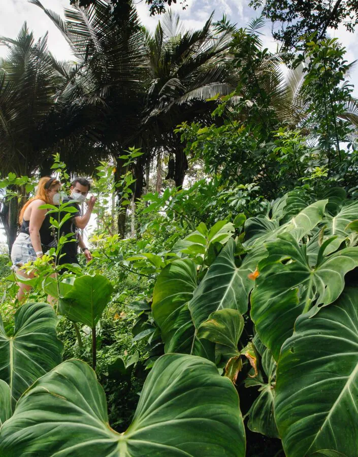 No mês de fevereiro, o Inhotim está com a programação especial no feriado de Carnaval. Foto Bruno Figueiredo