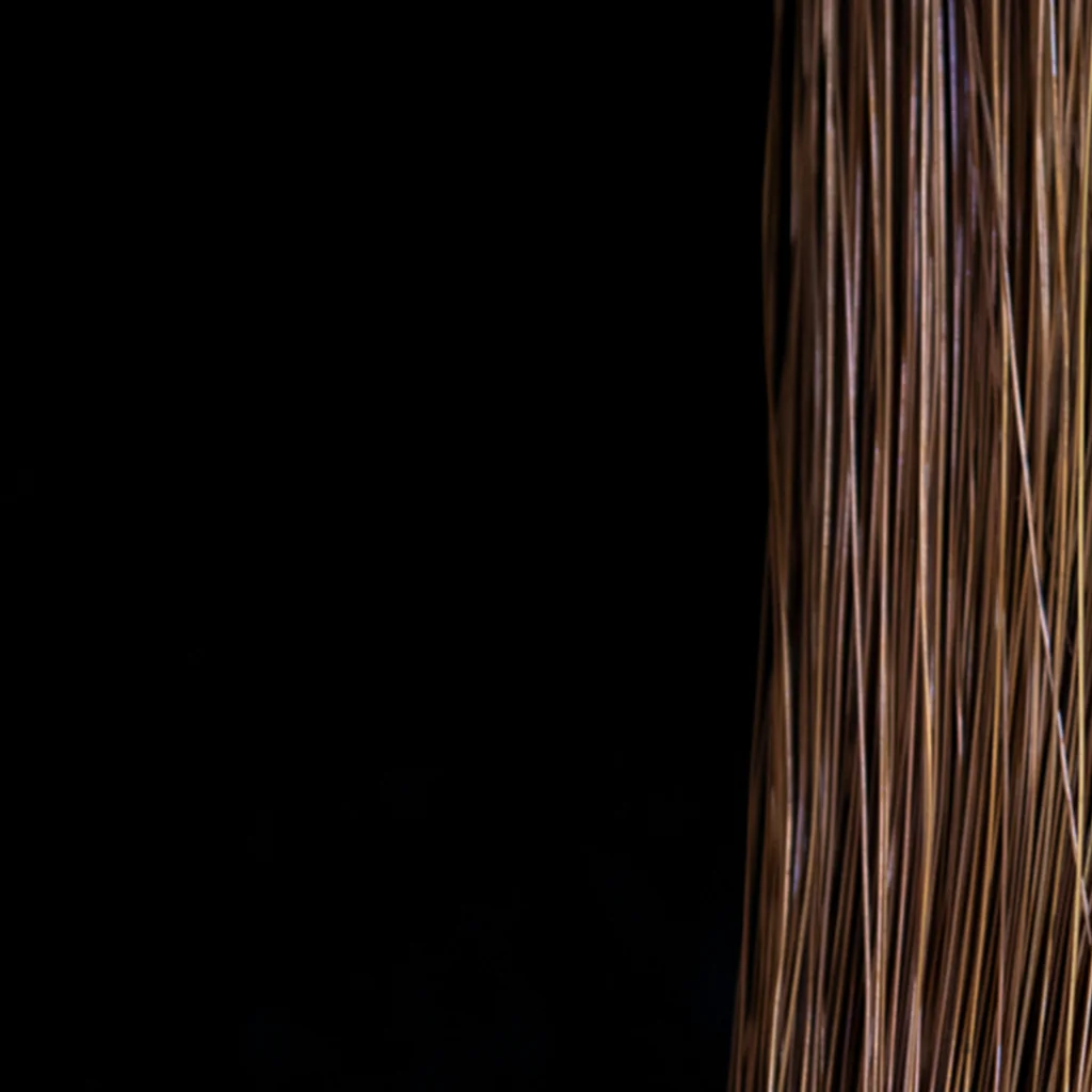 inhotim explore retrato ep4 tunga