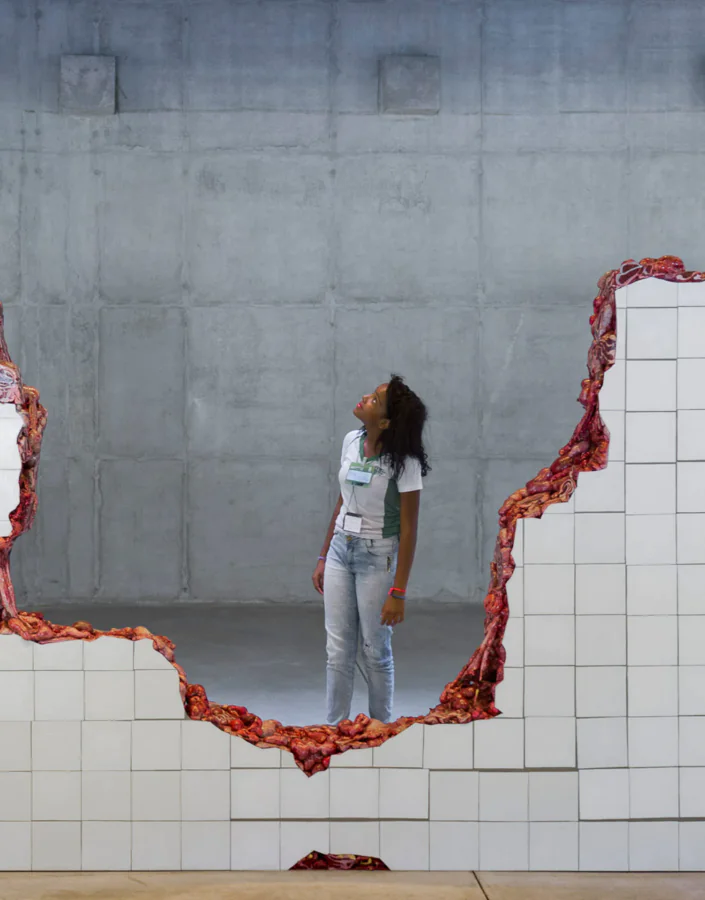 The visits will approach some works by women artists on view at Inhotim. Foto: William Gomes