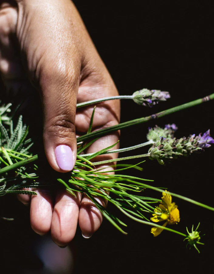 The Garden of All Senses and the works of Olafur Eliasson and Janet Cardiff will get special attention in September’s mediated visit. Photo: Bruno Figueiredo/Área de Serviço 
