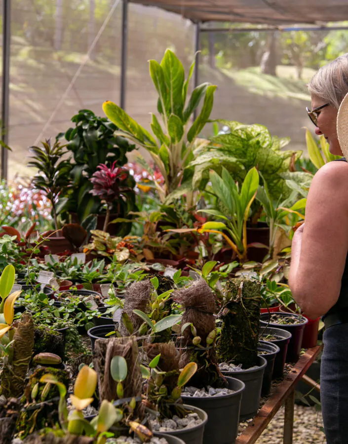 The Semana do Cerrado is an opportunity to learn more about this biome and understand how we can conserve it. Photo: GlenioCampregher/Área de Serviço
