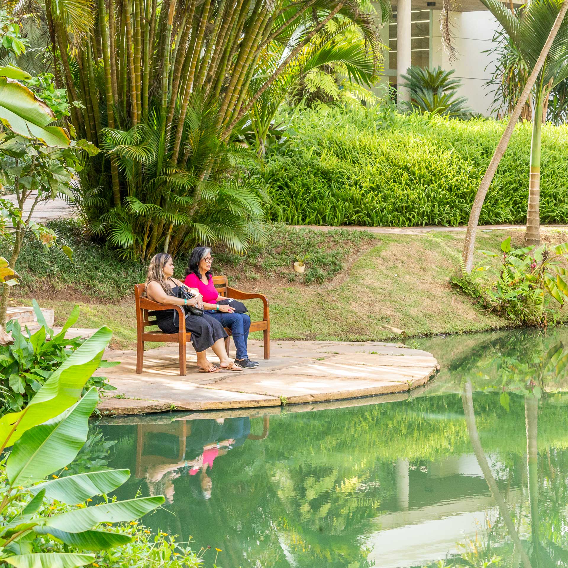 Free admission at Inhotim: a guide to get guaranteed entry - Inhotim