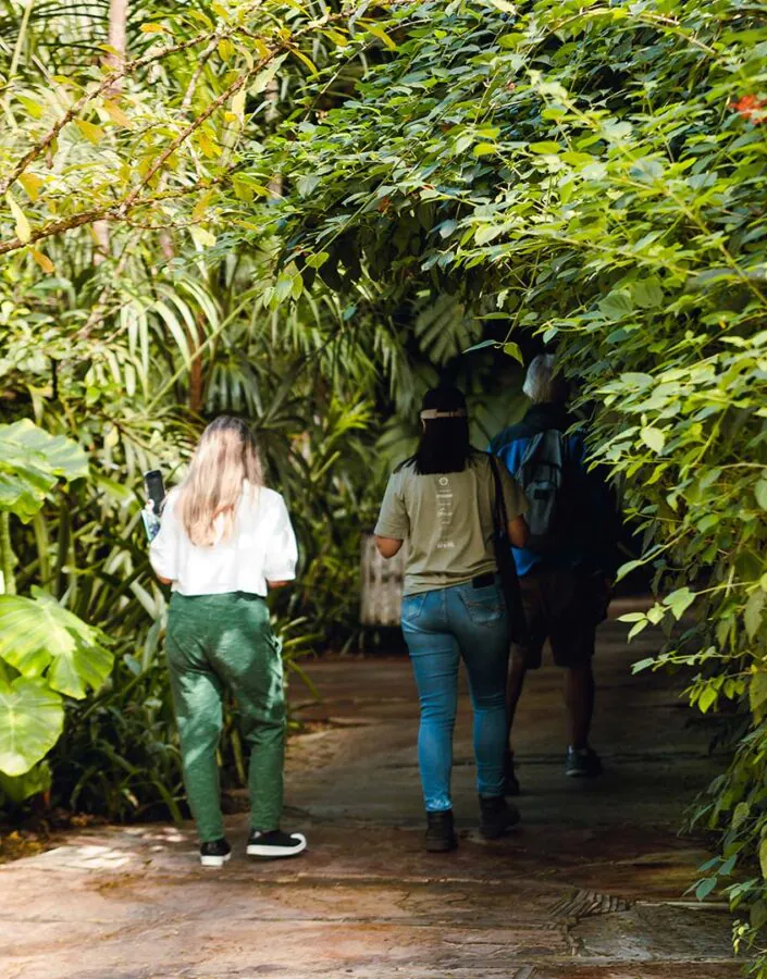 Semana de Ciência e Tecnologia faz parte da programação especial do Transmutar: Programa de Investigações Botânicas do Jardim Botânico Inhotim.Foto: Carolina Evangelista