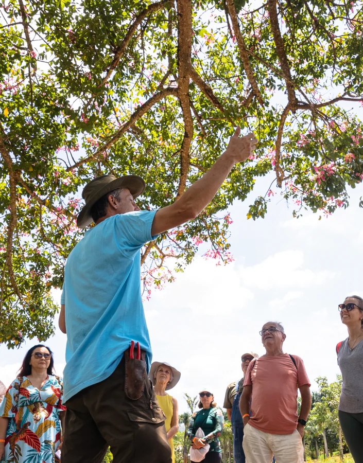  Em abril, Inhotim abre as portas com novas exposições e programação musical. Retire seu ingresso. Foto: Brendon Campos