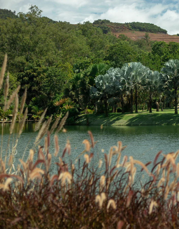 Série de eventos promove o encontro das múltiplas perspectivas de natureza. Foto: João Marcos Rosa