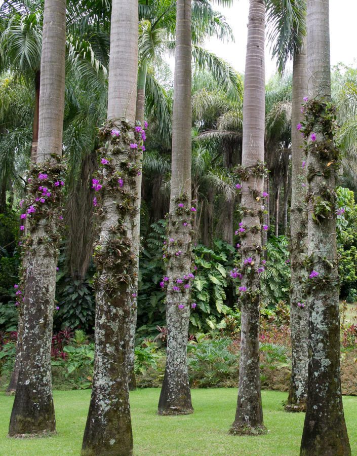 Conversations, meetings and visits mark Inhotim's schedule during the National Museum Week 2024. Photo: personal collection.