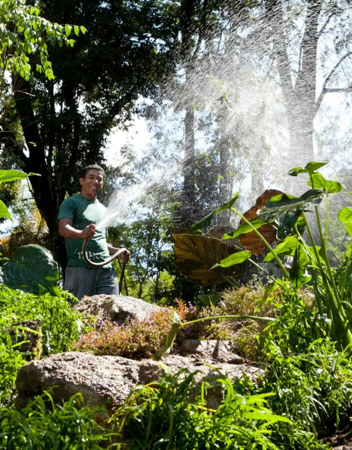 JC Jardineiros RicardoMallaco-4