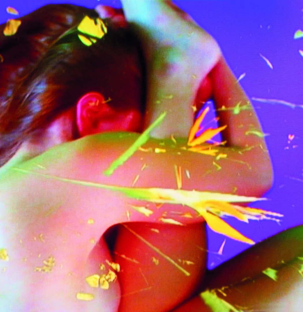 Pipilotti Risti_Homo sapiens sapiens. Foto: Cortesia Atelier Rist GmbH