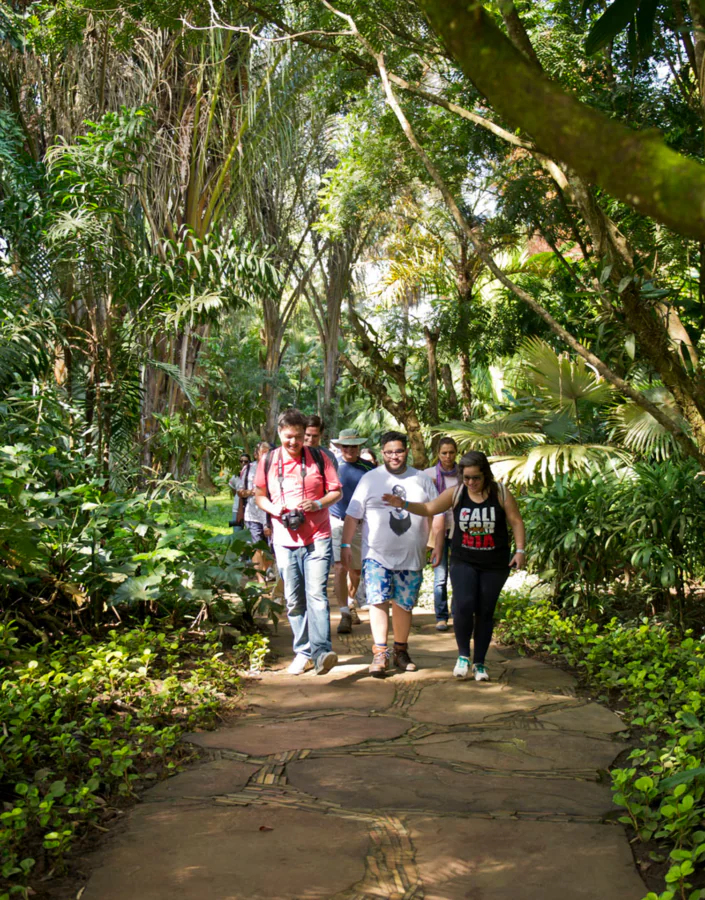 Participe das visitas temáticas do Inhotim. Elas são gratuitas para visitantes e destinadas a pessoas de todas as idades. Foto:  Rossana Magri