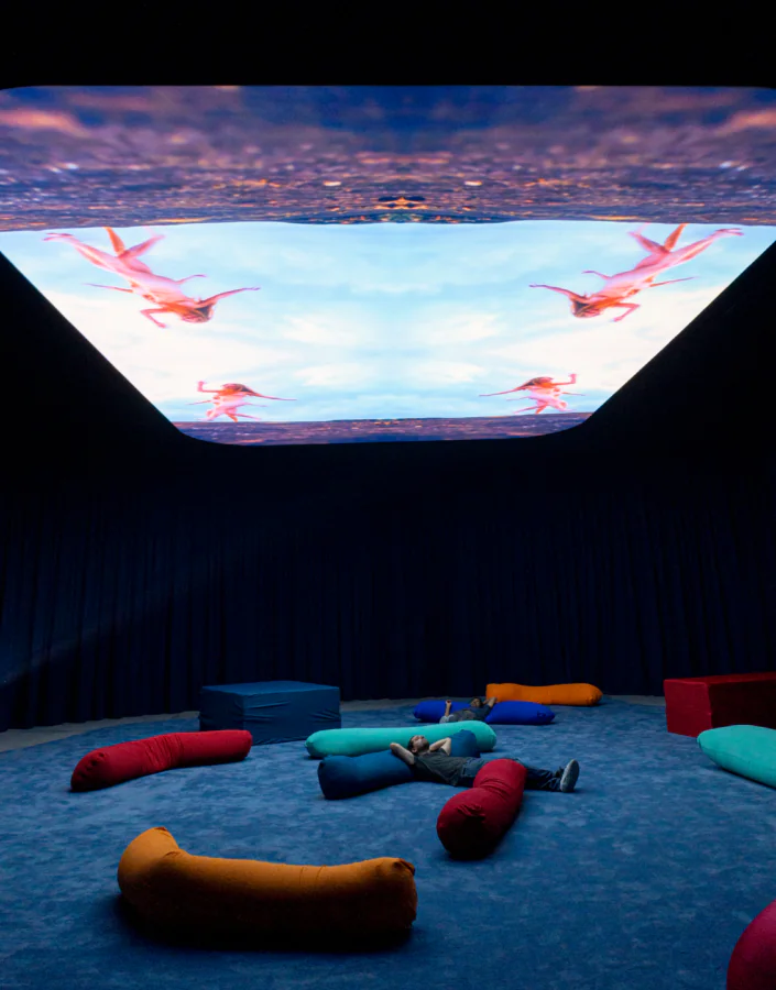 O mês de dezembro no Inhotim convida para celebrar as conquistas e novidades deste ano. Foto: ícaro Moreno