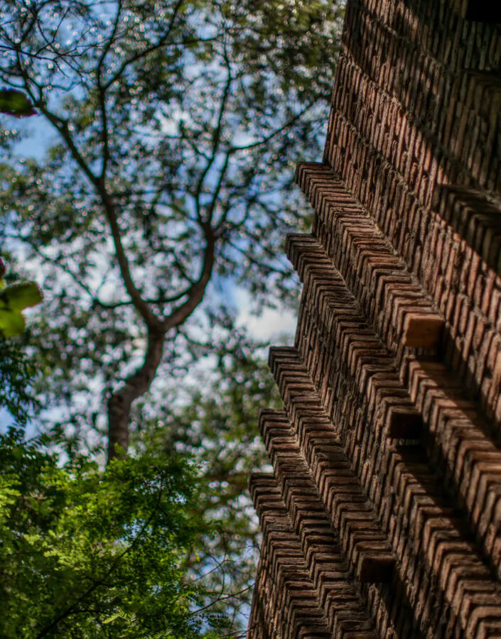 Em abril, conheça a nova exposição do Inhotim, participe da 1ª edição do Experiência Brumadinho e mais. Retire seu ingresso. Foto: João Kehl