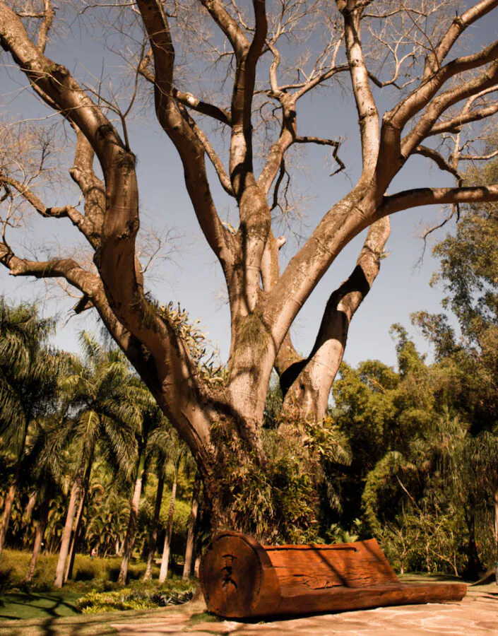 Primeira edição do Concerto Didático traz encontro de destaques da música instrumental popular brasileira. Foto: Daniela Paoliello