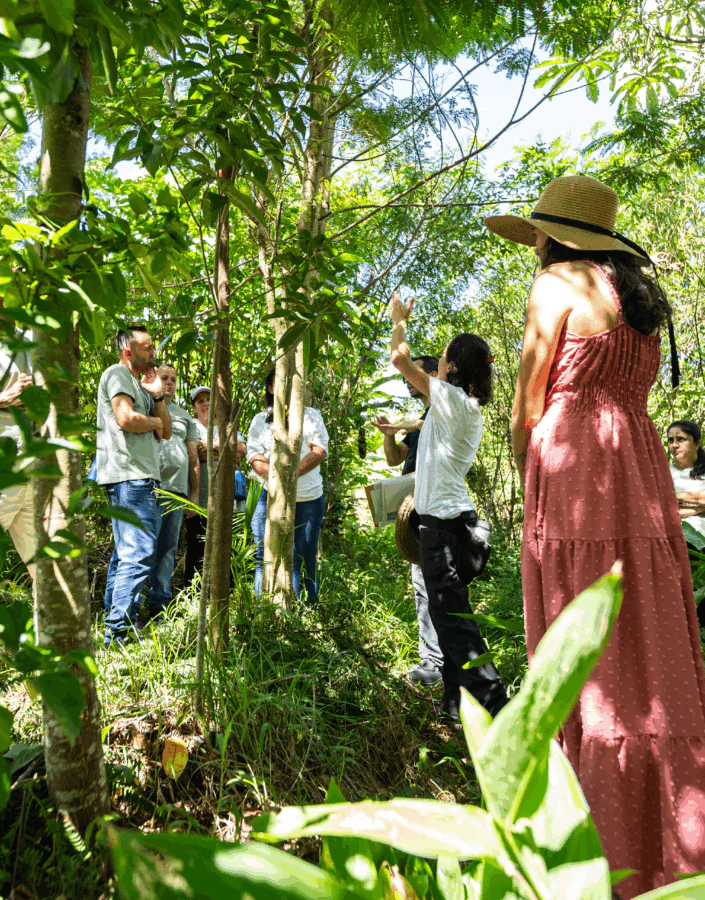 Projeto Lab Jardim possibilitou trocas e intensa formação em jardinagem. Foto: Brendon Campos