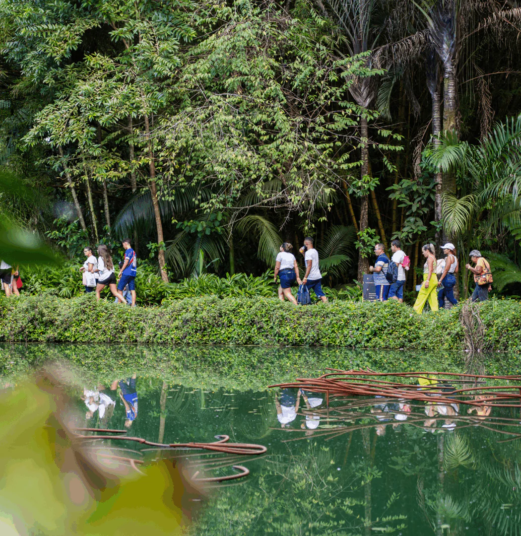 Participe da Visita Temática do Inhotim: gratuita para visitantes e destinada a pessoas de todas as idades. Foto: Brendon Campos
