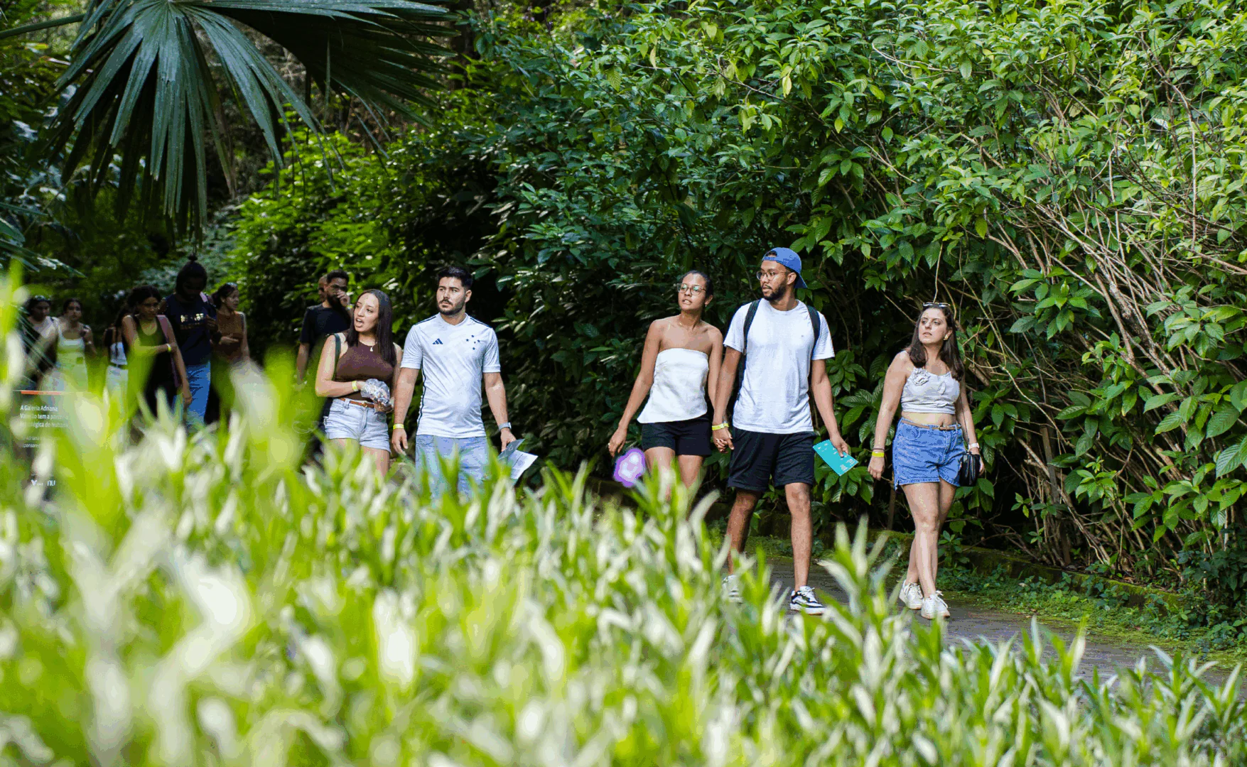 [DES25 DIG] ProximaParadaSET PAGINA Site BrendonCampos