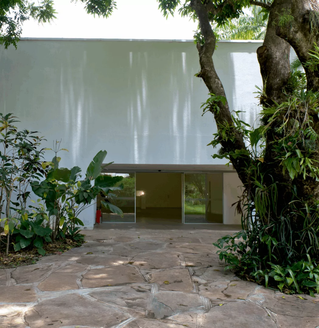 Participe da Visita Temática do Inhotim: gratuita para visitantes e destinada a pessoas de todas as idades. Foto: William Gomes