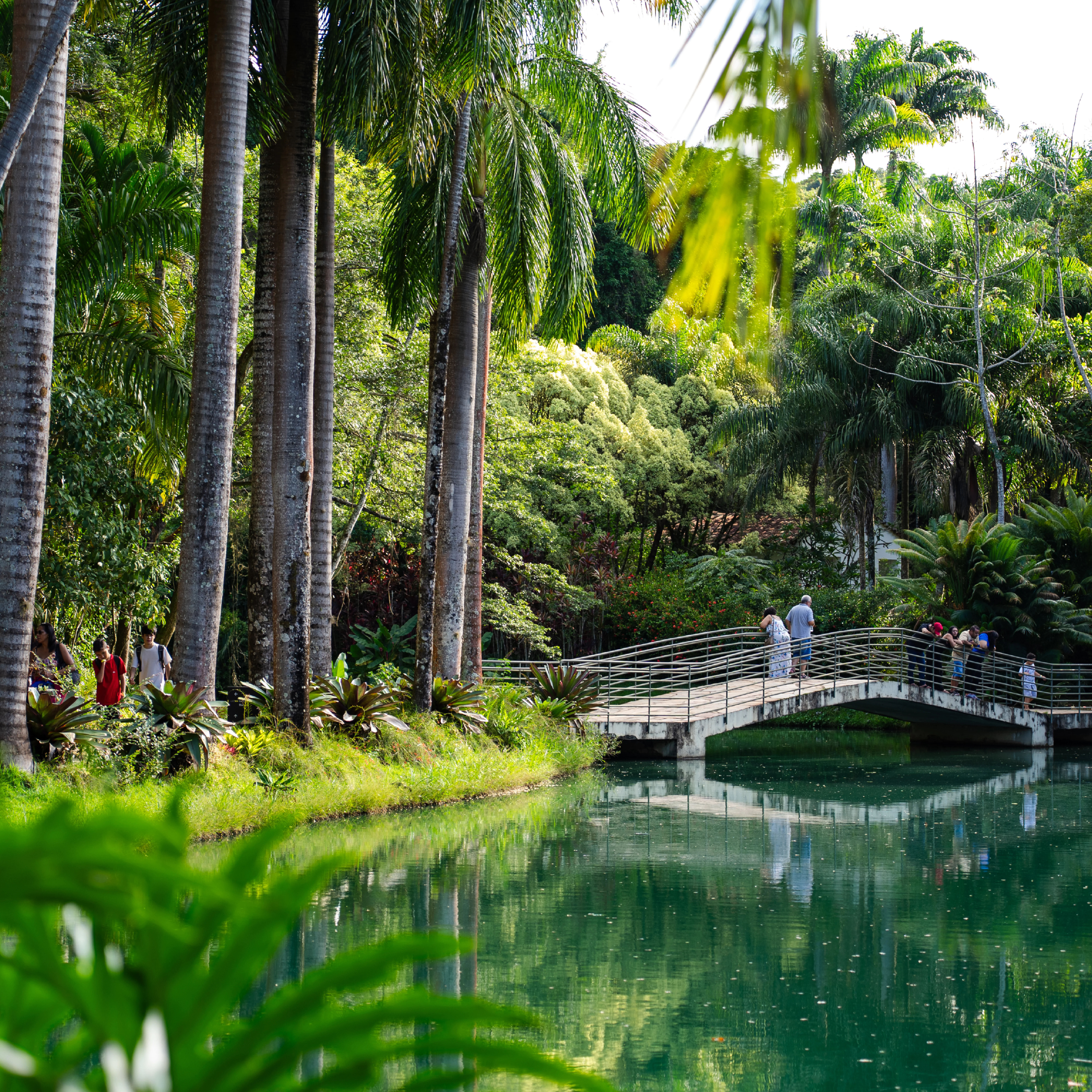 Programa leva moradores e moradoras de Brumadinho para um dia de visitação, lazer e vivências no Inhotim. Foto: Brendon Campos