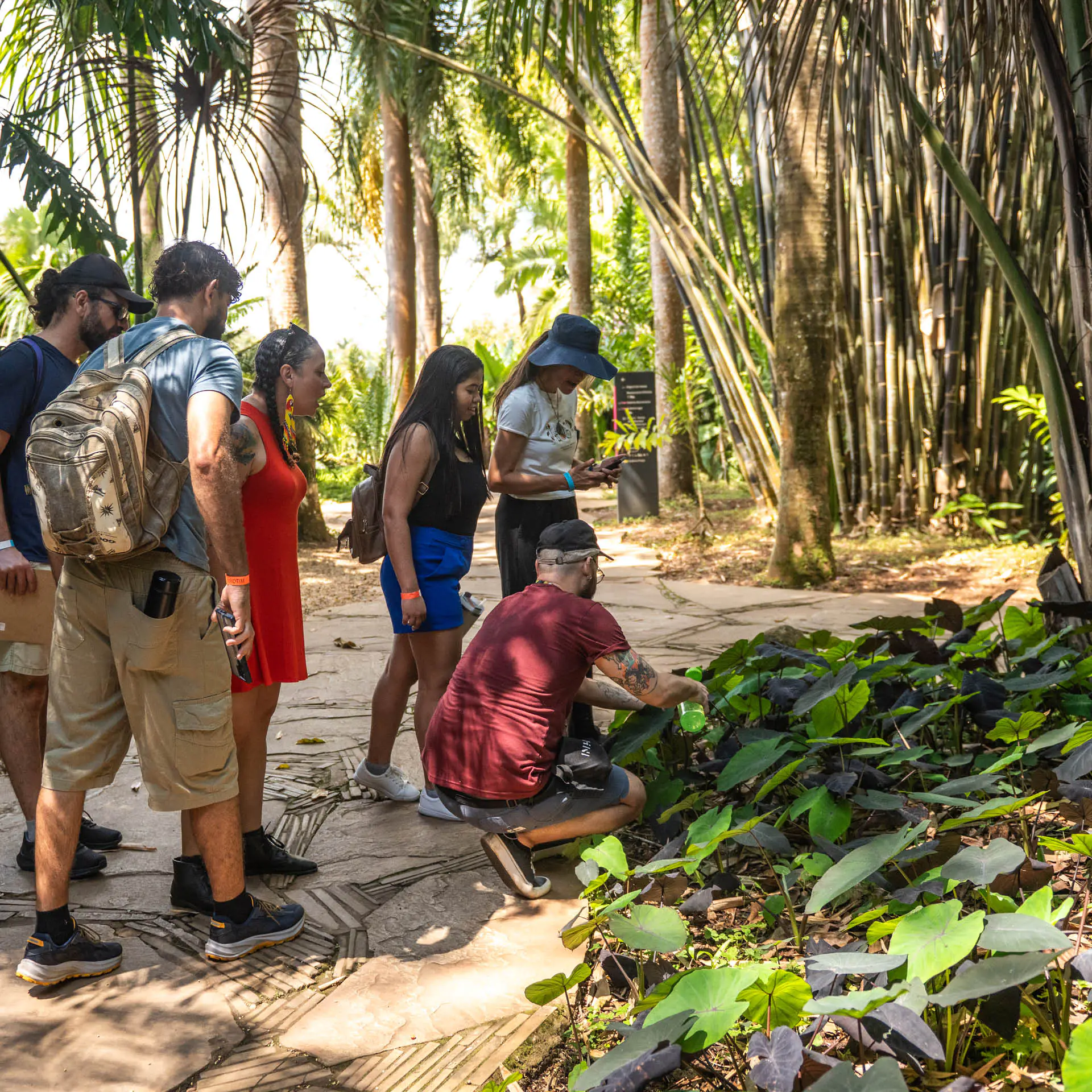 O Ateliê Circulante convida para atividades em diferentes pontos do Inhotim, experimentando a arte e natureza. Foto: Daniela Paoliello