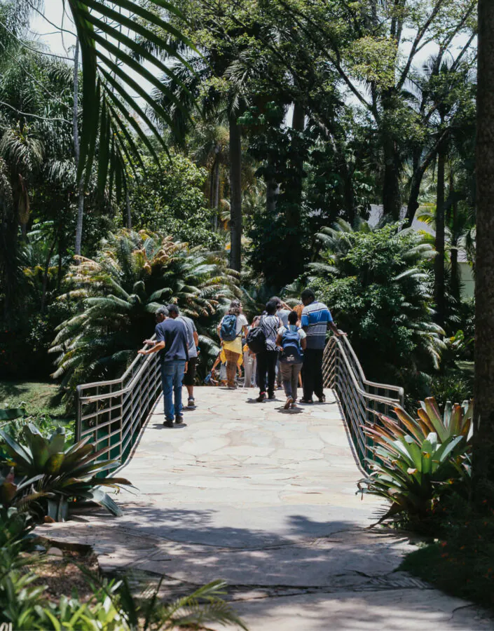 Em janeiro, percurso sonoro ancestral de Renata Tupinambá, oficinas e Conversas sobre o Acervo no Inhotim. Foto: William Gomes