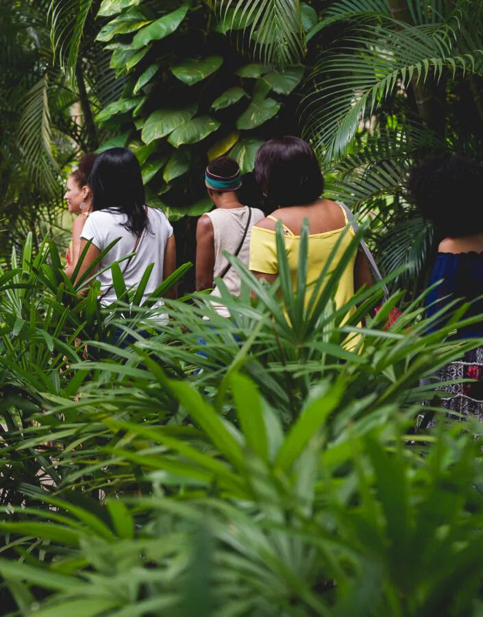 Educativo Inhotim Programa de Visitas Campanha