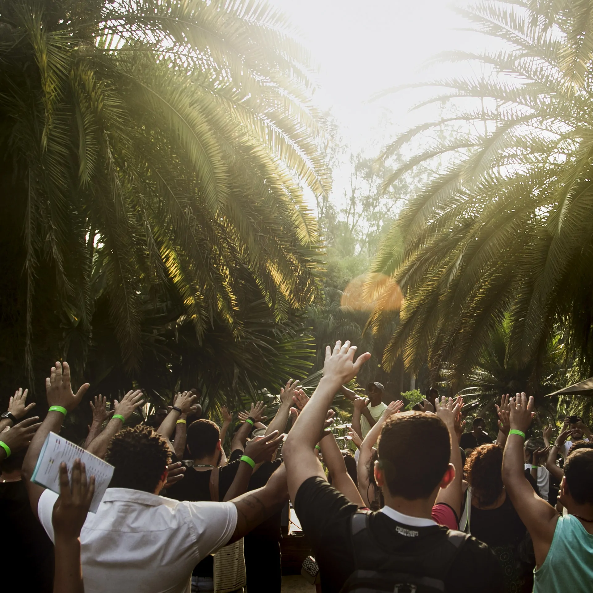 As apresentações dos artistas da cidade  nas edições do projeto realizado ao longo de 2019. Foto: William Gomes