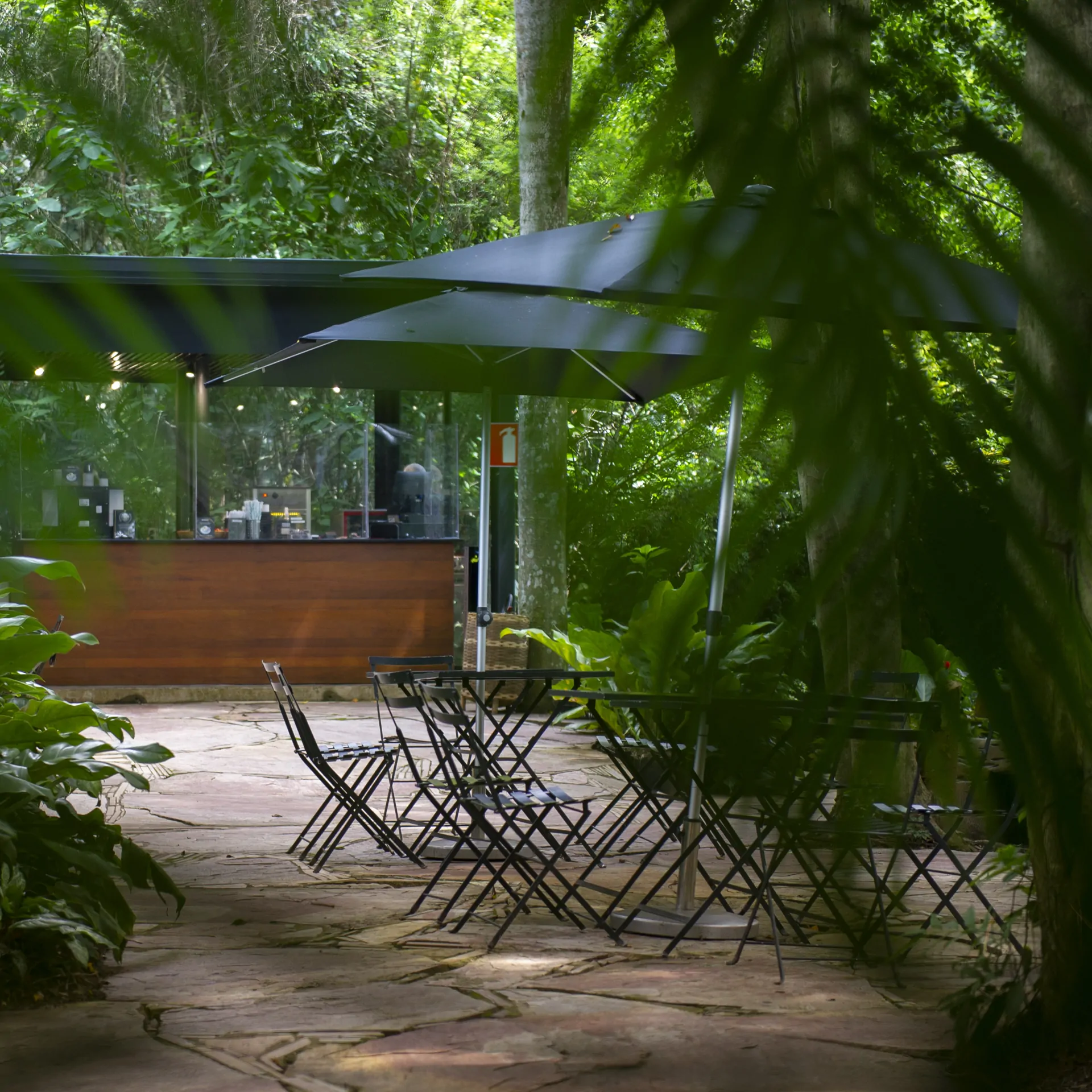 Casa de sucos visite Inhotim alimentação