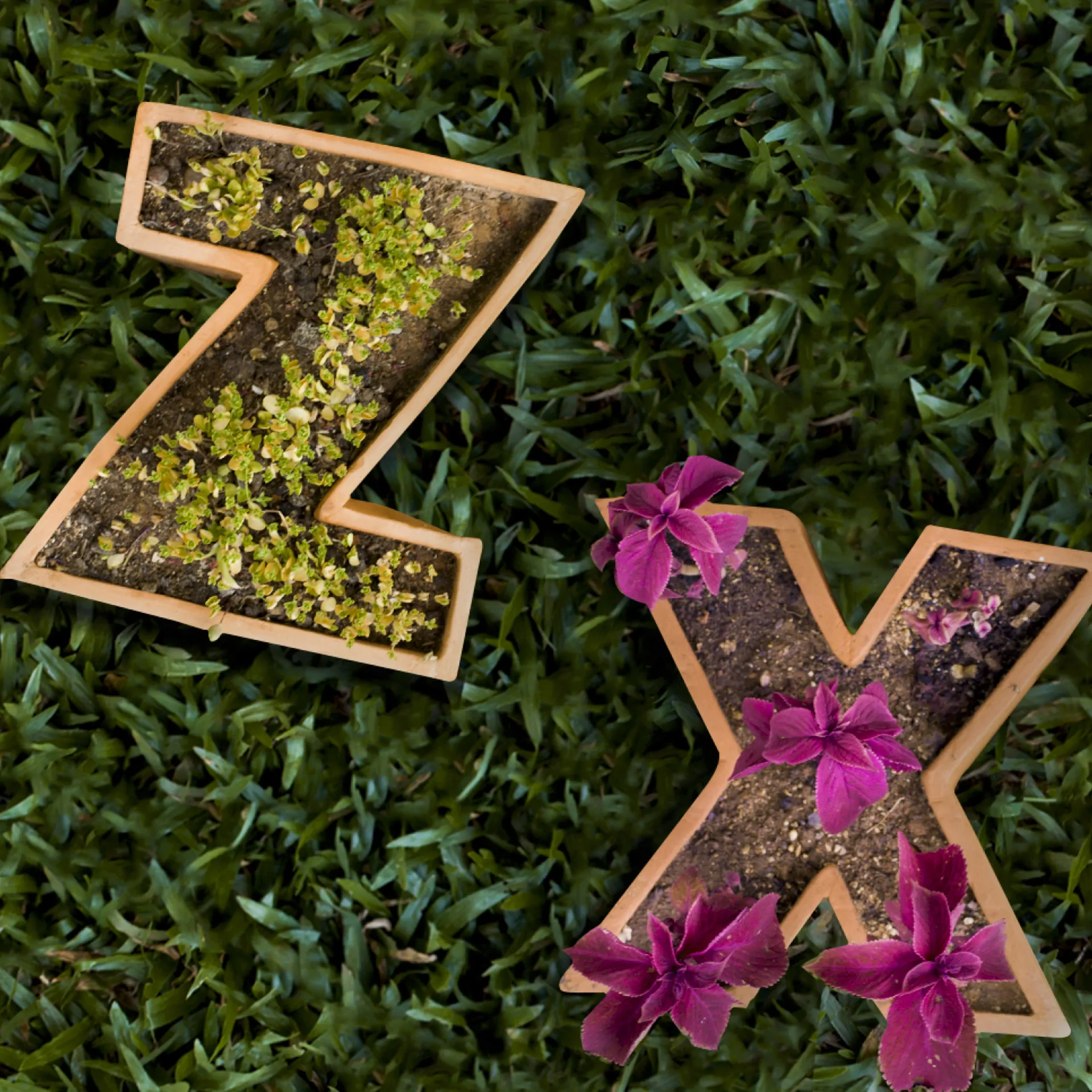 Marilá Dardot, "A origem da obra de arte", 2002, em detalhe.