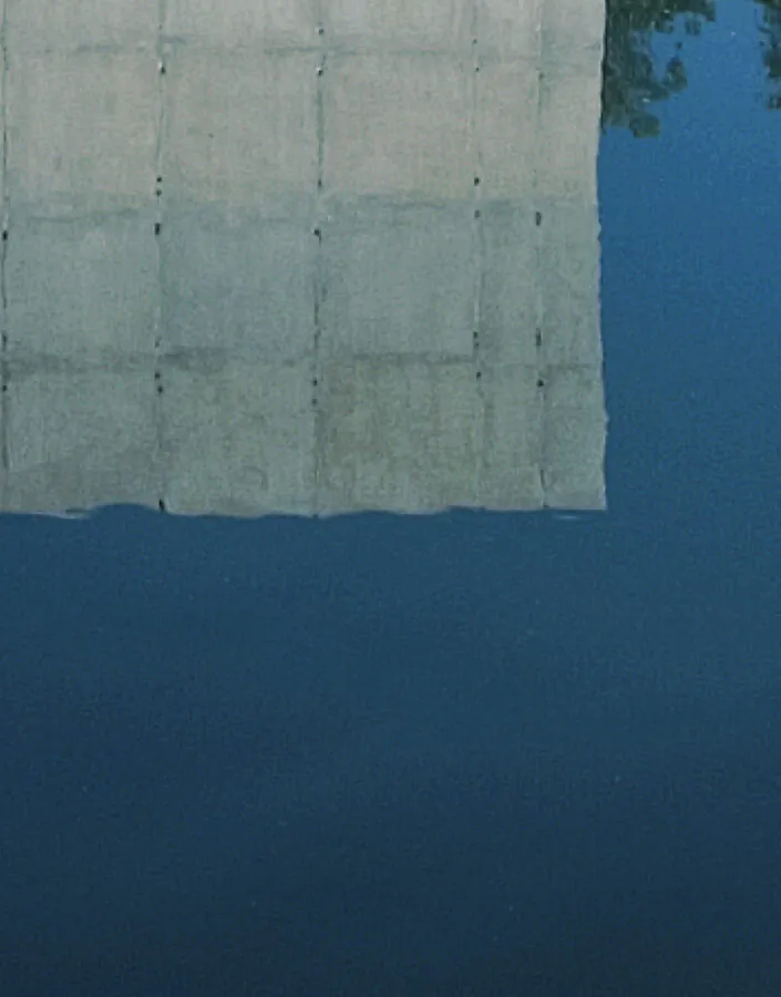 Detail of Galeria Adriana Varejão on Inhotim, 