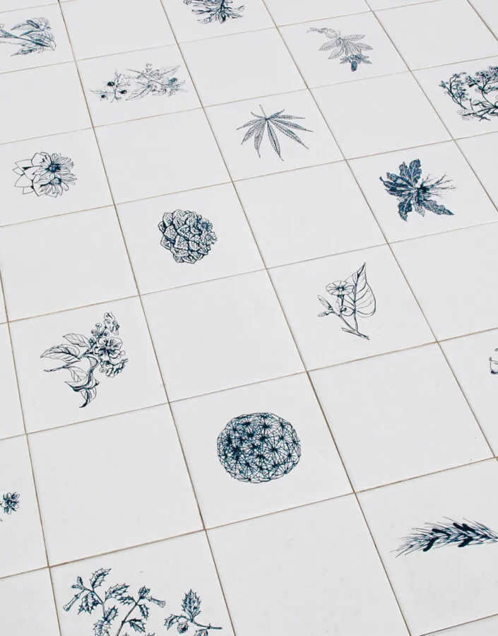 Adriana Varejão, Panacea Phantastica, 2003-08, [detalhe],serigrafia sobre azulejo, 40 x 202 x 202 cm. Foto: Vicente Mello.