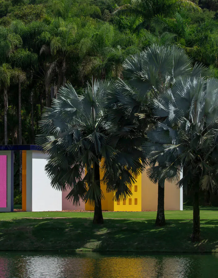 Próximas ao Magic Square #5, de Hélio Oiticica, as palmeiras-azuis ressaltam as cores da obra na paisagem. Foto:João Marcos Rosa/Nitro.