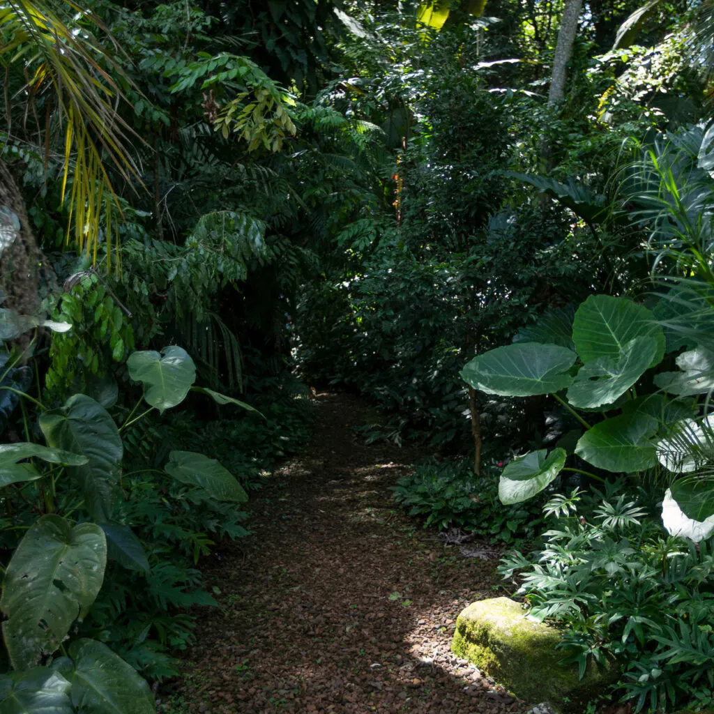 Os caminhos nos levam a conhecer a diversidade dos dois biomas. Foto:João Marcos Rosa/Nitro
