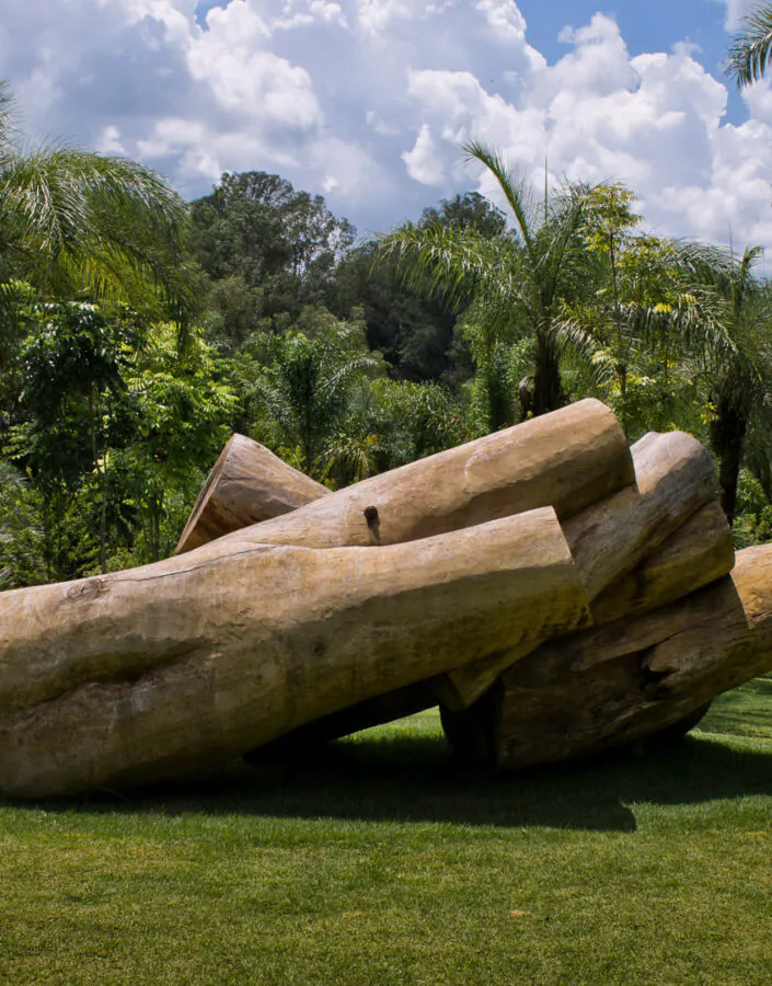 Elisa Bracher, Embrionário, 2003, Madeira de eucalipto, cedro e pinos de ferro, dimensões variáveis. Foto: William Gomes