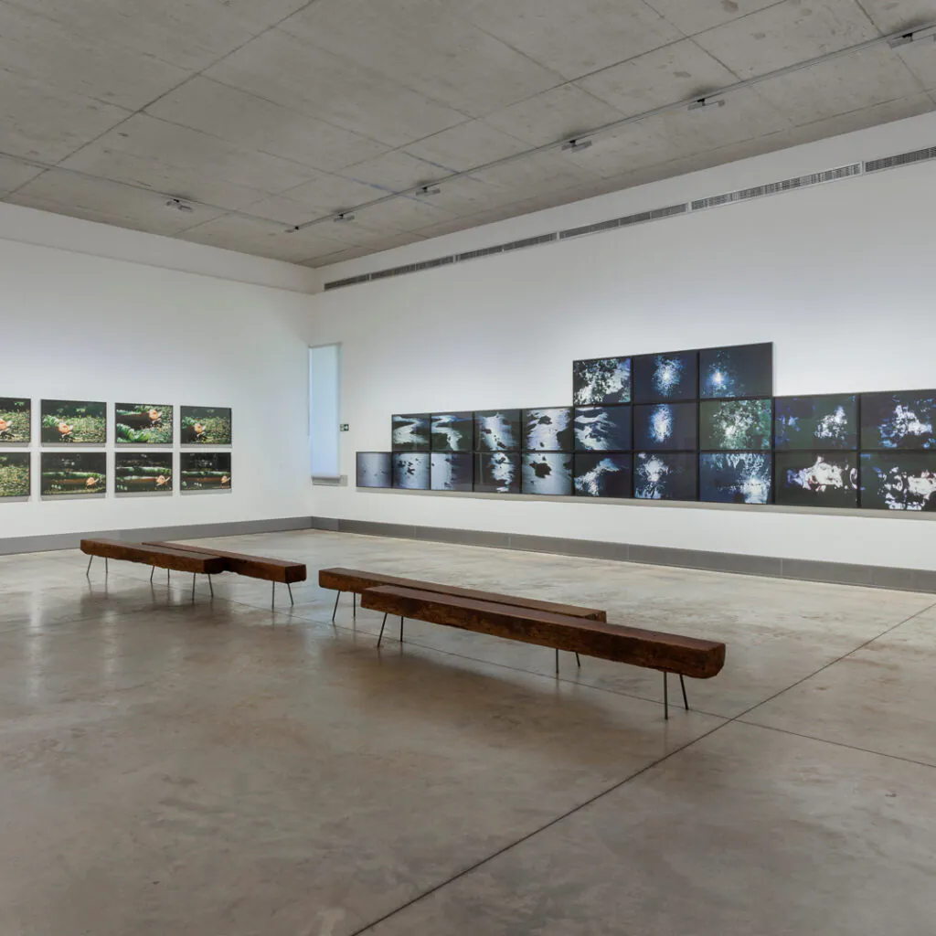 Vista de exposição do eixo "A terra", Galeria Claudia Andujar. Foto: Eduardo Eckenfels