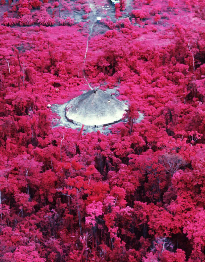 Claudia Andujar, Urihi-a (da série Catrimani), 1976, impressão colorida sobre papel de algodão baritado, 100x150 cm.