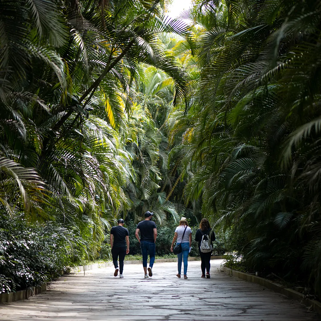 Visita mediada com o curador integra a programação da Semana do Meio Ambiente do Inhotim. Foto: Brendon Campos