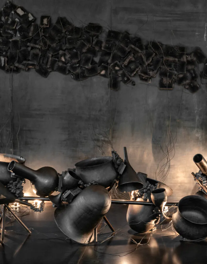 Obra sem título, 2001, de Tunga. Acervo de arte contemporânea Inhotim