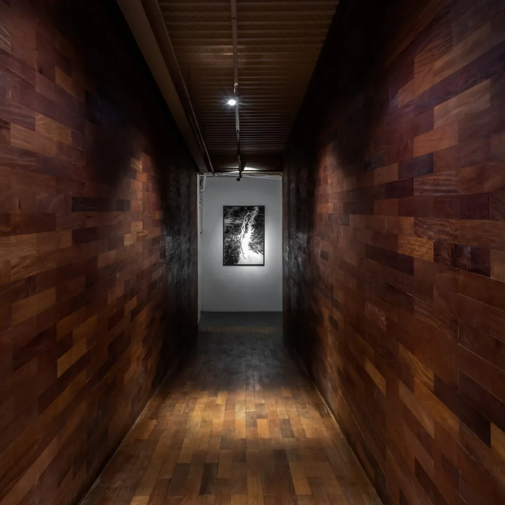 Obra Vanguarda Viperina, 1985, Tunga. Acervo de arte contemporânea Inhotim