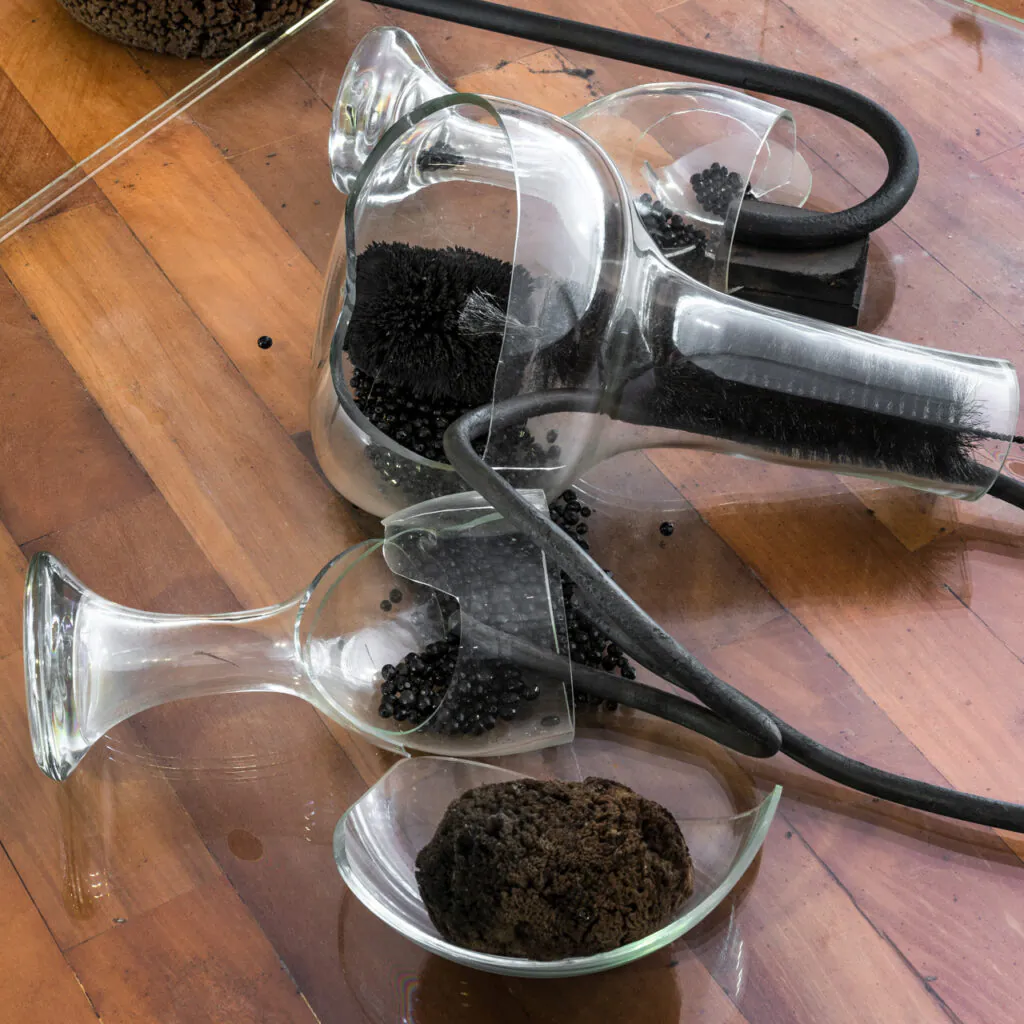 Obra sem título, 1999, de Tunga. Acervo de arte contemporânea Inhotim