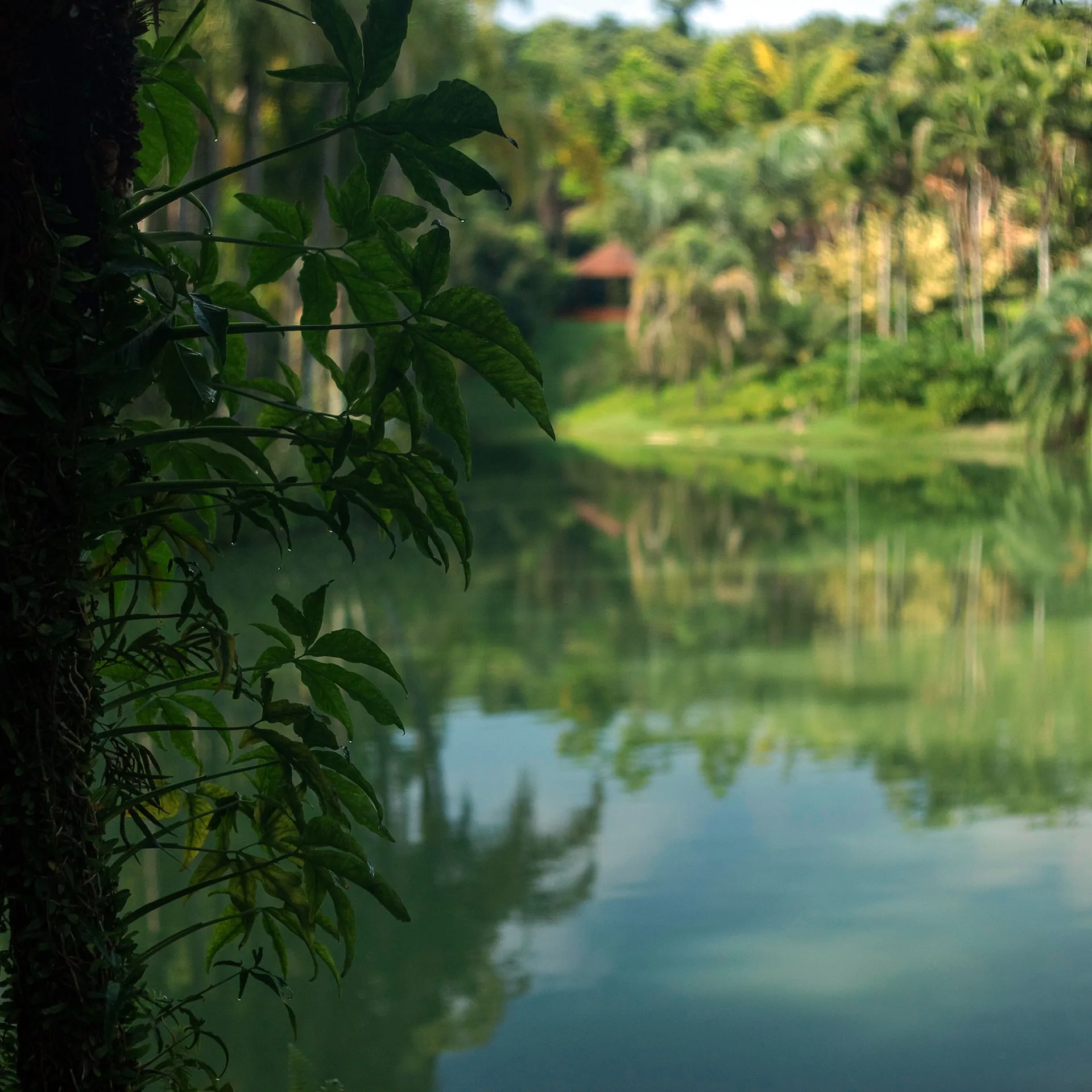inhotim acervo jardim btoanico semana meio ambiente paisagem