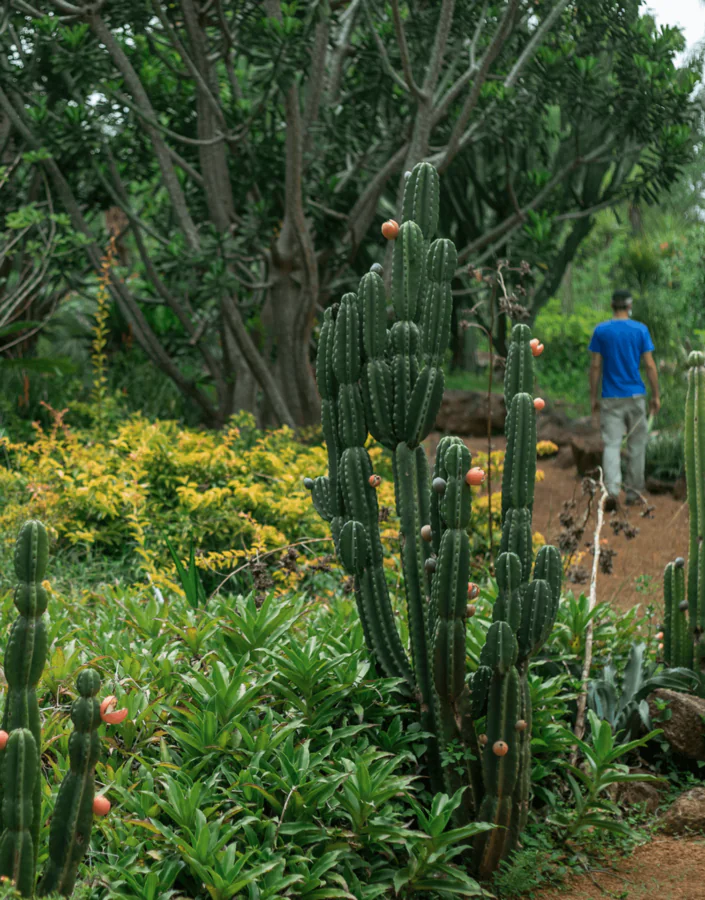 Along the paths and gardens, Inhotim’s Botany Curator guides visitors on this mediated visit. Photo: João Marcos Rosa/Nitro