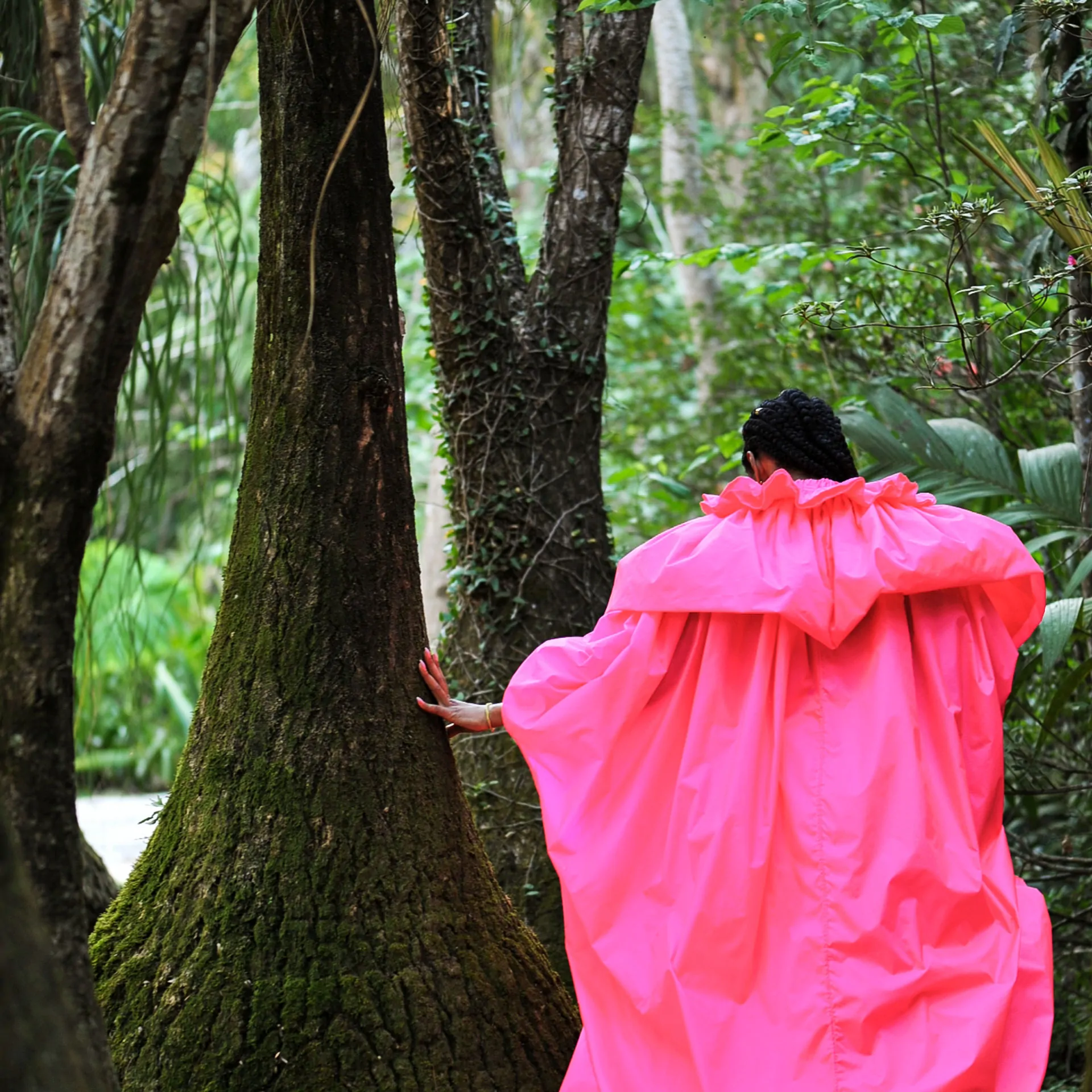 inhotim programacao em cena xenia franca pata de leao