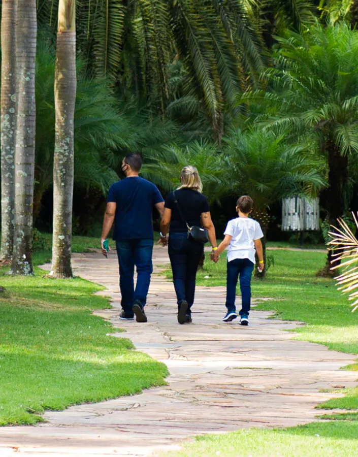 A programação traz a primeira edição de 2021 do Espaço Ciência Inhotim e visitas temáticas que mesclam botânica e arte  Foto: Brendon Campos