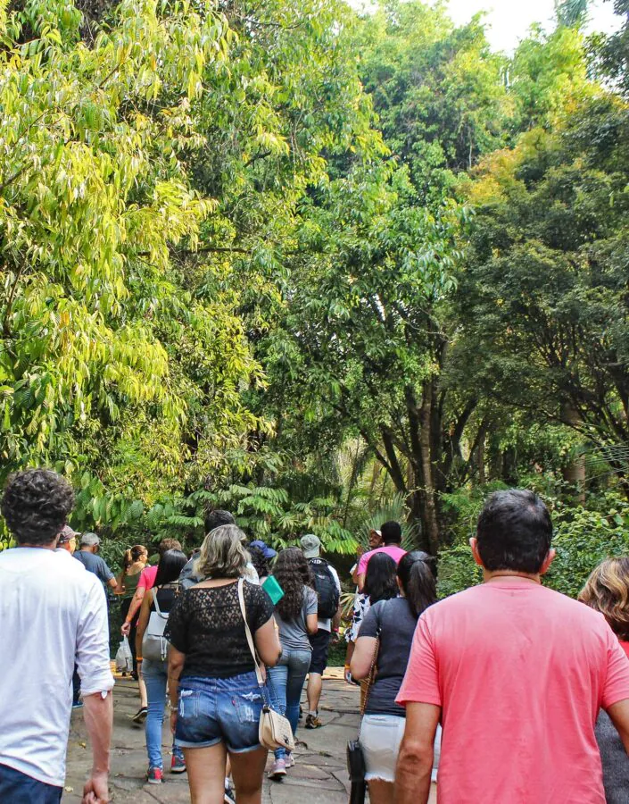 foto bastidores do vivero