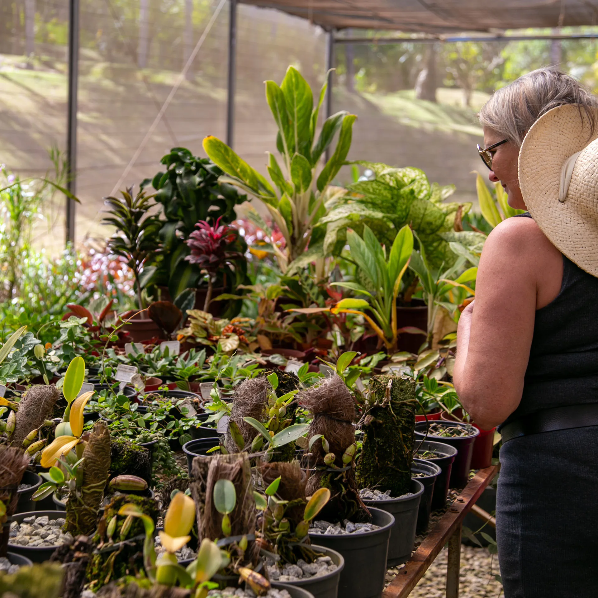 Na Semana do Cerrado, o Inhotim preparou uma programação e gratuita que te convida a conhecer o bioma e entender o nosso papel na sua conservação. Foto: Glenio Campregher/Área de Serviço