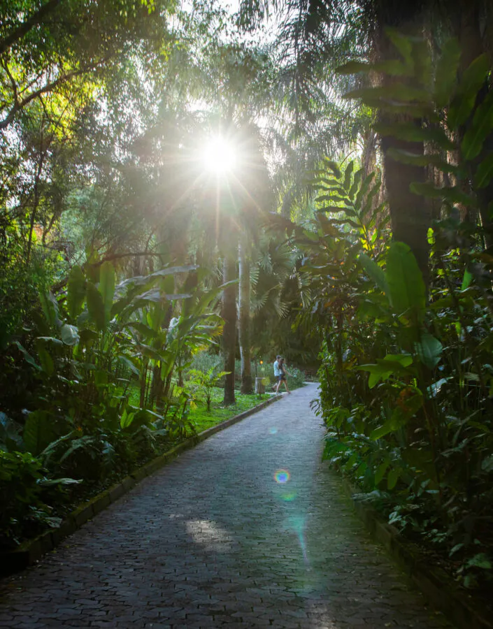 inhotim programacao agosto